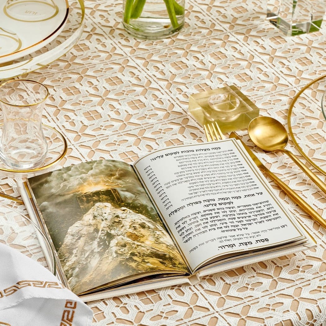 LEATHER HAGGADAH - WHITE